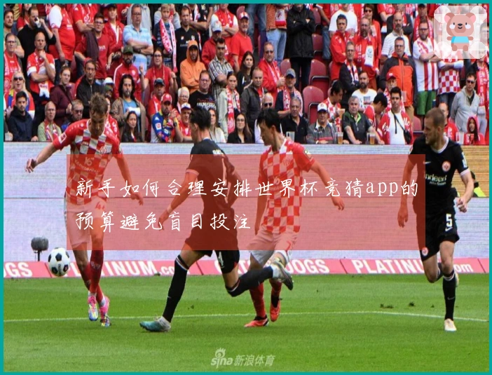 新手如何合理安排世界杯竞猜app的预算避免盲目投注