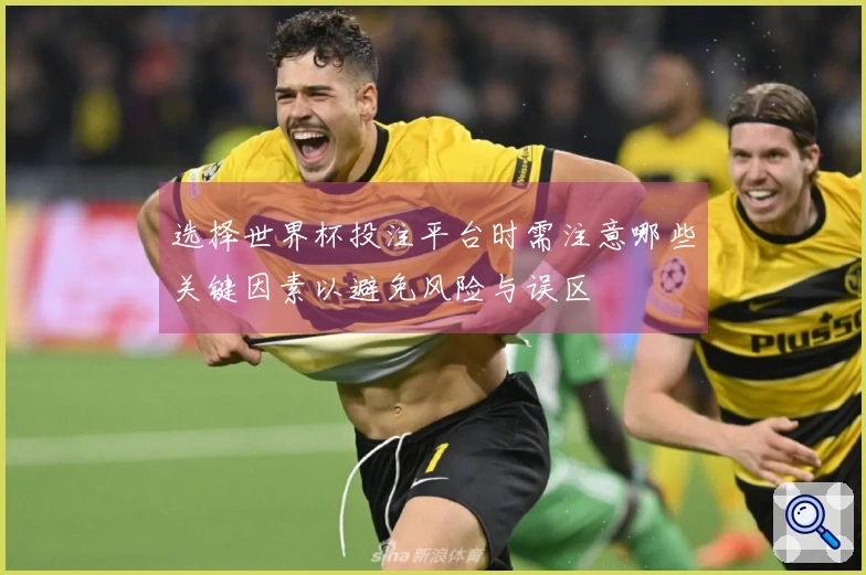 选择世界杯投注平台时需注意哪些关键因素以避免风险与误区